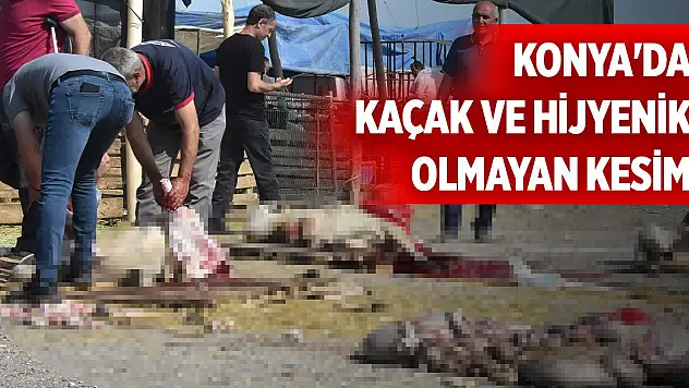 Konya'da kaçak ve hijyenik olmayan kesim
