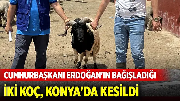Cumhurbaşkanı Erdoğan'ın bağışladığı kurbanlık iki koç, Konya'da kesildi