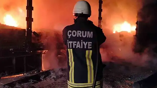 Tır alev alev yandı