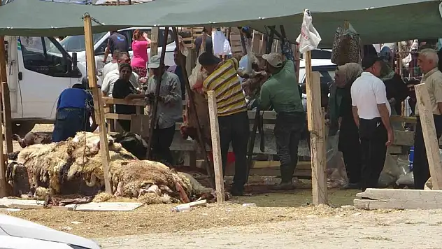 Kurbanlık fiyatları yüzde 40 düştü