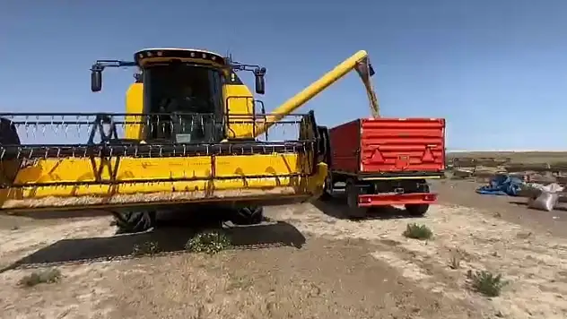 Konya'da tehlike çanları! 300 kilodan 50 kiloya düştü