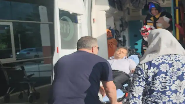 Konya'da ailesiyle pikniğe gitti, ayağını yılan ısırdı