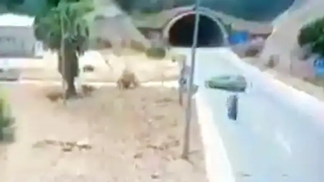 Tünel girişinde kaza: 2 ölü, 4 yaralı