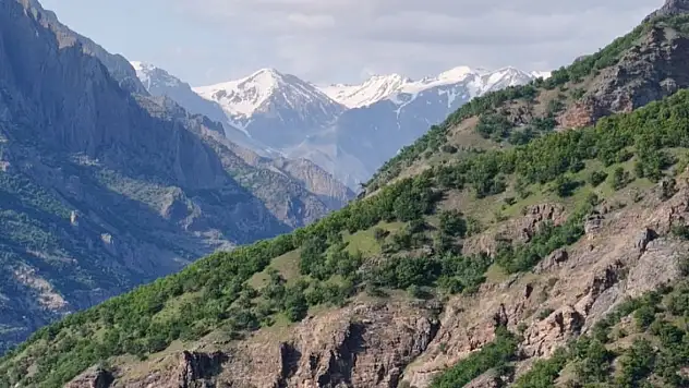 Mantar toplarken kayboldu cansız bedeni bulundu