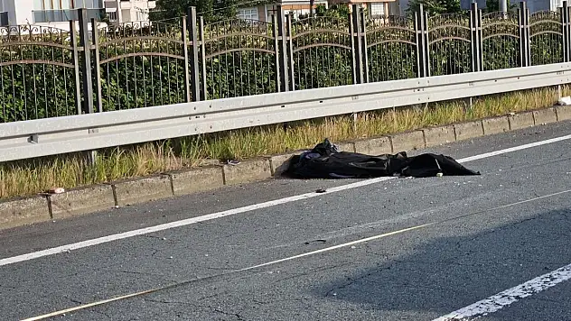 2 kardeşin öldüğü kazada arı detayı