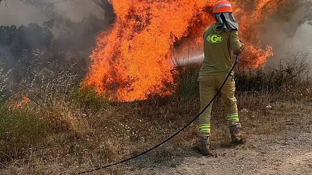 Korkutan orman yangını!