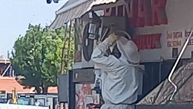 Karapınar'da arı paniği