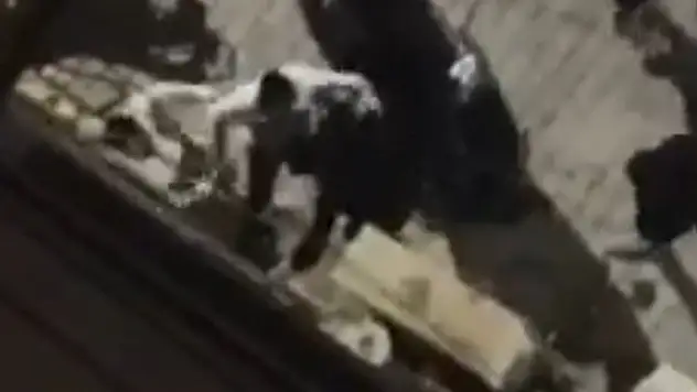 Taş, pala ve silahlı kavgada kan aktı