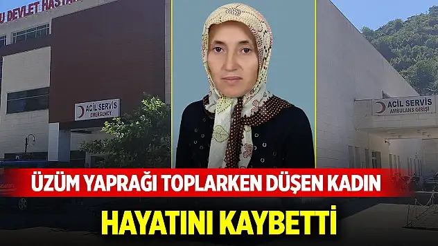 Üzüm yaprağı toplarken düşen 3 çocuk annesi hayatını kaybetti