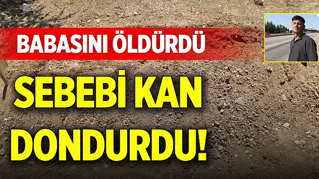 Babasını öldürdü, sebebi kan dondurdu!