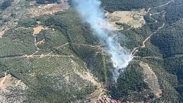 Aynı gün ikinci orman yangını