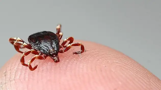 KKKA hastalığı şüphesiyle tedavi gören 7 çocuk annesi öldü