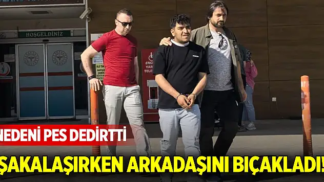 Şakalaşırken arkadaşını bıçakladı! Nedeni pes dedirtti