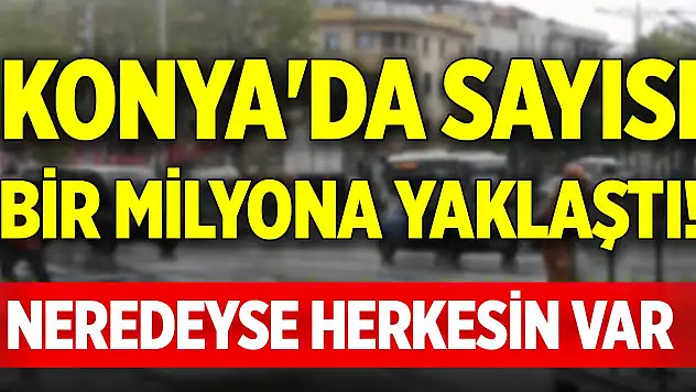 Konya'da sayısı bir milyona yaklaştı! Neredeyse herkesin var