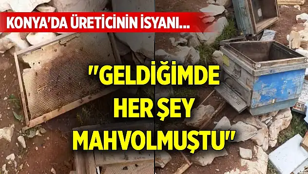 Konya'da üreticinin isyanı... 'Geldiğimde her şey mahvolmuştu'