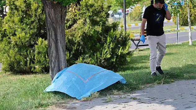 Önce annesinin mezarını ziyaret etti, sonra canına kıydı