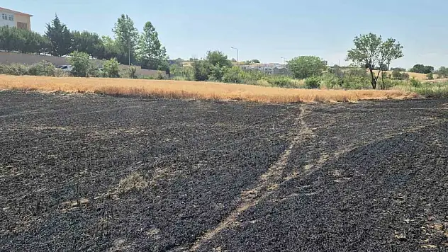 Buğday tarlası alevlere teslim oldu