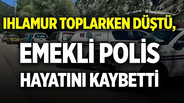 Ihlamur toplarken düştü, emekli polis hayatını kaybetti