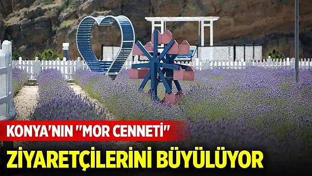 Konya'nın 'Mor Cenneti' ziyaretçilerini büyülüyor