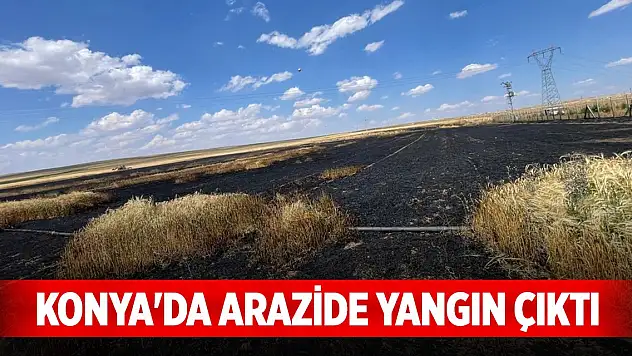 Konya'da buğday ekili arazide yangın çıktı