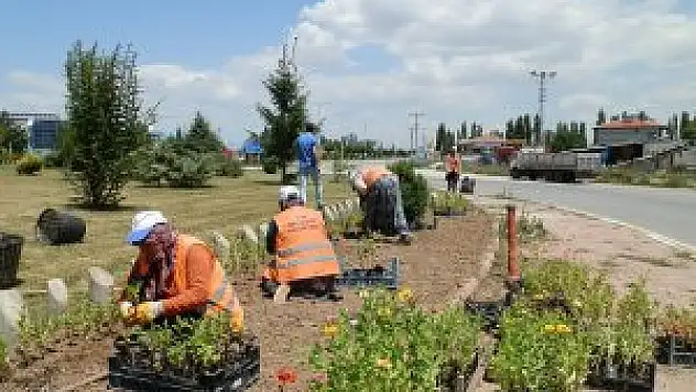 Beyşehir'de 100 bin çiçek toprakla buluştu