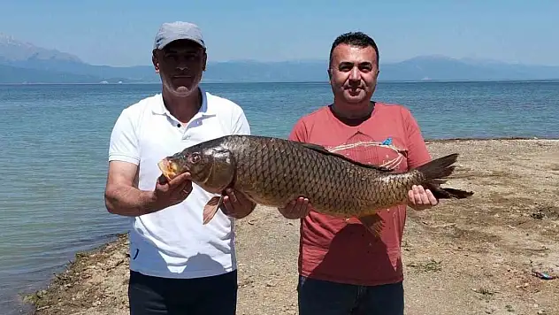 Beyşehir Gölünde ağlara vurdu... Tam 17 kilo!
