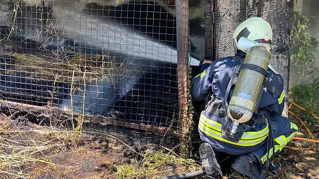Önce otları, sonra ahırı yaktı
