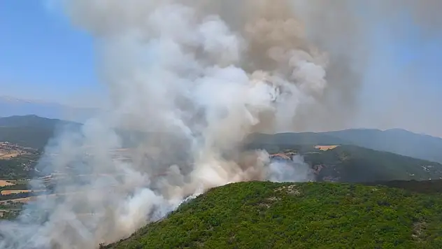 Korkutan orman yangını!