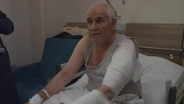 Ot biçen vatandaşa kurt saldırdı!