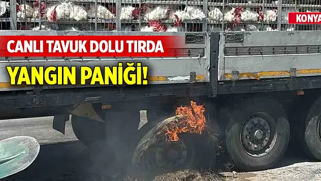Konya'da canlı tavuk dolu tırda yangın paniği!