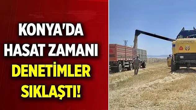 Konya'da hasat zamanı... Denetimleri sıklaştı!