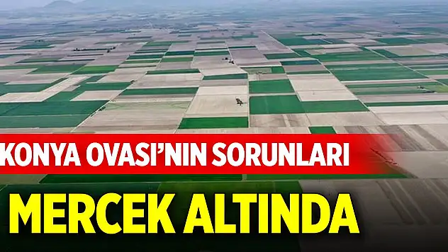 Konya Ovası'nın sorunları mercek altında