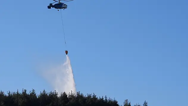 İzmir'deki orman yangını kontrol altına alındı