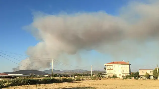 İzmir'de sanayide çıkan yangın ormana sıçradı