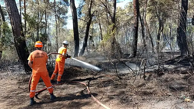 Antalya'nın iki ilçesinde orman yangını
