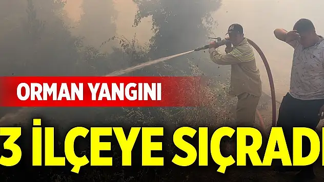 Orman yangını 3 ilçeye sıçradı
