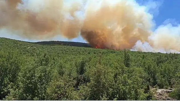 Son Dakika! Son iki günde 111 yangın meydana geldi