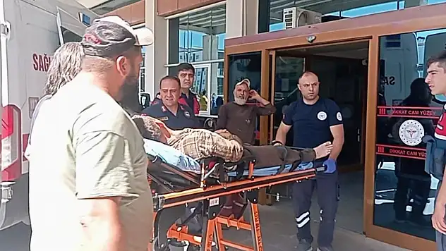 Konya'da motorlu testereyle ağaç kesen kişi yaralandı