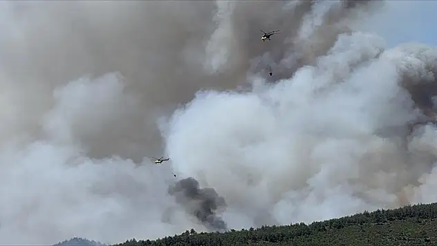 Yangında bir köy kül oldu