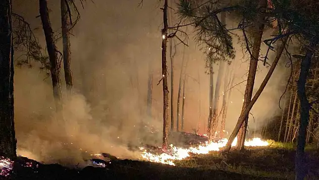 Bolu'daki orman yangını büyüyor: Karadan müdahale sürüyor