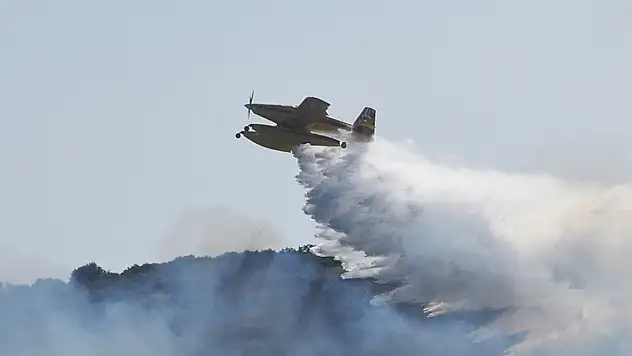 Orman yangınları ile ilgili 11 şüpheli gözaltında
