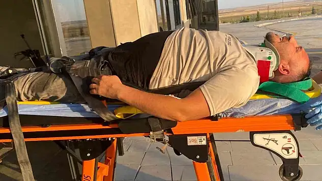 Konya'da otomobil  koyun sürüsüne çarptı