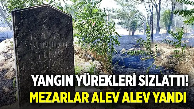 Yangın yürekleri sızlattı! Mezarlar alev alev yandı