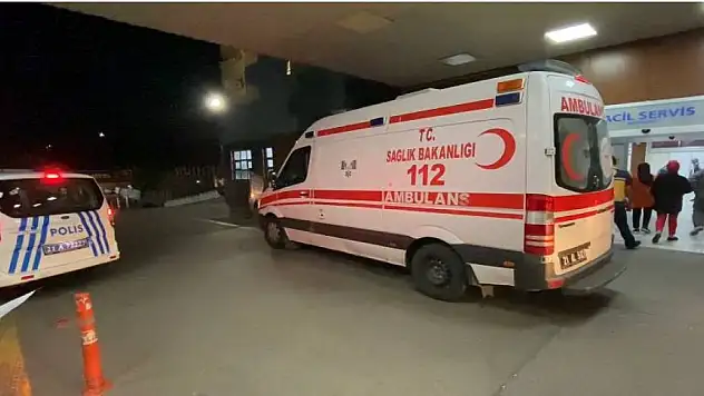 Kardeşi tarafından tabancayla öldürüldü