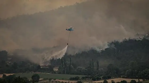 Bakan Tunç'tan orman yangınları ile ilgili önemli açıklama