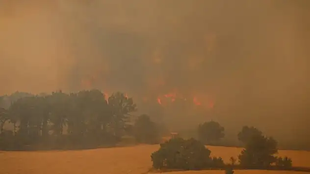 Bakan Yumaklı: '4 köy ve 2 mahalle boşaltıldı'
