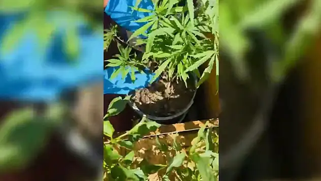 Konya'da narkotik operasyonları: 34 tutuklama