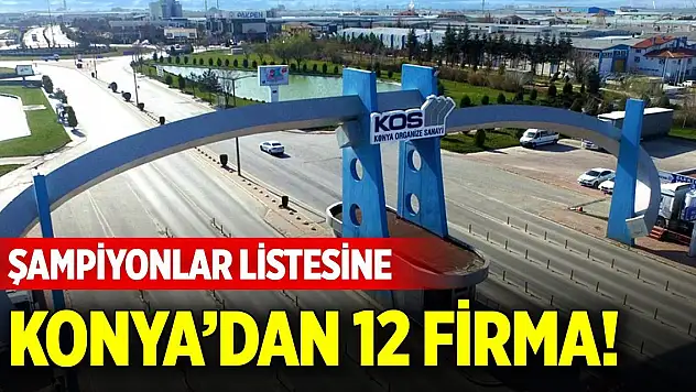 Şampiyonlar listesine Konya'dan 12 firma!