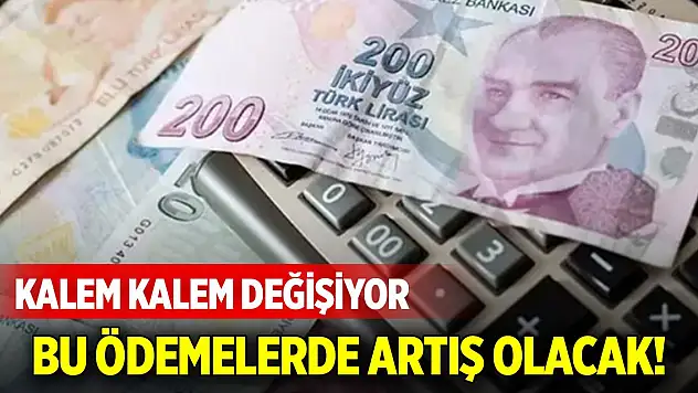 Bu ödemelerde artış olacak! Kalem kalem değişiyor
