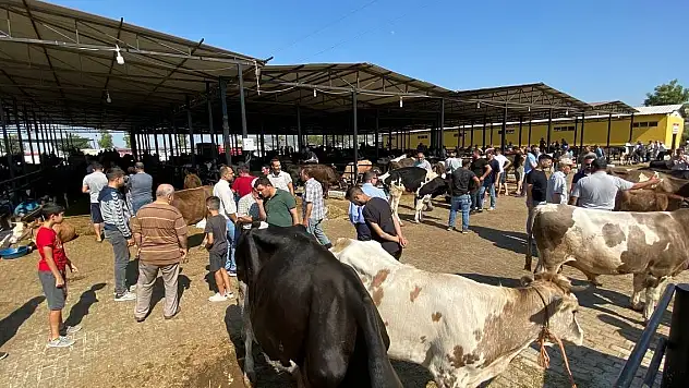 Son Dakika! Bakanlıktan 81 ile acil kodlu yazı